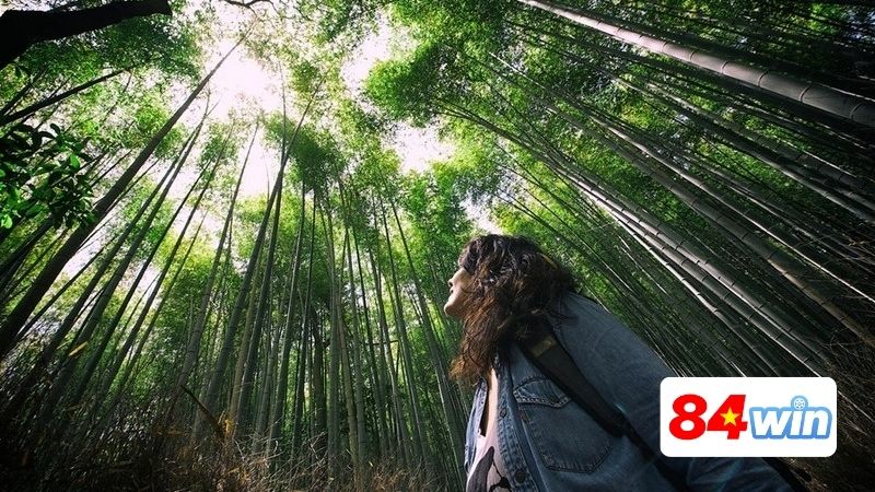 Nam-mo-thay-di-lac-khong-biet-duong-ve-cho-biet-dieu-gi